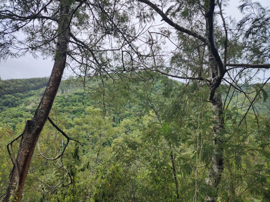 Commercial Property for Sale in Hoekwil Western Cape